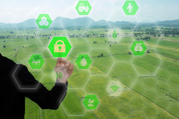 iot, internet of things(agriculture concept),smart farming,industrial agriculture.Farmer use the...