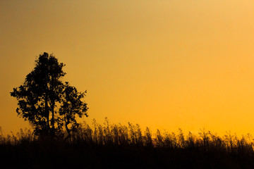 High mountains with evening light in tropical forest covered wit