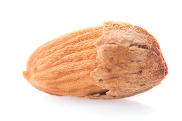 Almonds nut with shell isolated on white