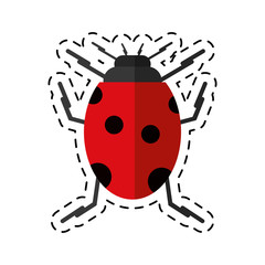 Fototapeta premium cartoon ladybug insect nature icon vector illustration eps 10