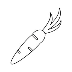 carrot vegetable vegetarian icon thin line vector illustration eps 10
