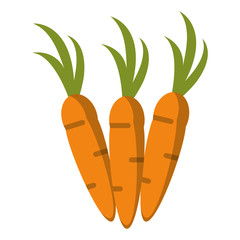 carrot vegetable vegetarian icon vector illustration eps 10