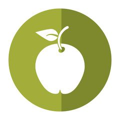 pear fruit health diet shadow vector illustration eps 10