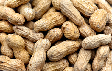 Fototapeta premium Peanuts
