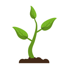 Fototapeta na wymiar sprout growing plant eco vector illustration eps 10