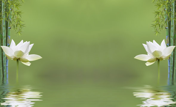 Composition Zen Aquatique Bambou Et Fleur De Lotus Buy This Stock Photo And Explore Similar Images At Adobe Stock Adobe Stock