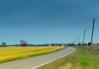 Fototapeta na wymiar road with phone poles in countryside field