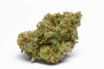 Close up of Jack Herrer medical marijuana buds