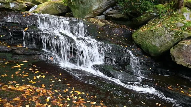 Seamless loop features a waterfall in a series known as Elakala Falls on Shays Run at Blackwater Falls State Park in rural Tucker County, West Virginia. 