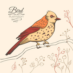 illustration of a bird. hand made background