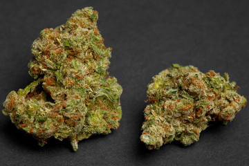 Close up of Jack Herrer medical and Charlie Sheen marijuana buds