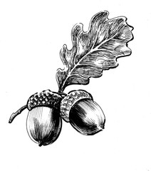 Acorns © berdsigns
