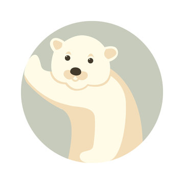 polar bear vector illustration style Flat