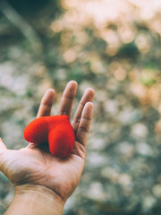 Hand holding a red heart