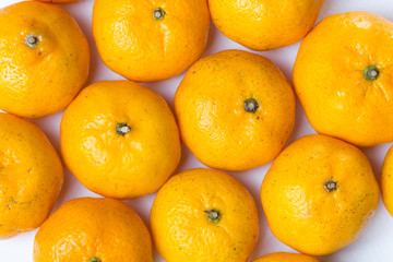 Many citrus fruit