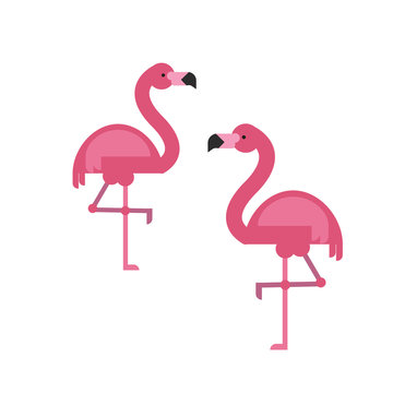 Two flamingoes vector illustration in flat style