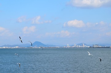 琵琶湖