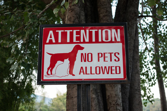Pets allowed. No Pets. No Pets allowed. Pets are not allowed jpg.