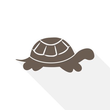 Turtle Icon Flat Graphic Design - Illustration