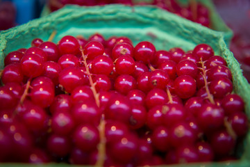 Fresh red currants