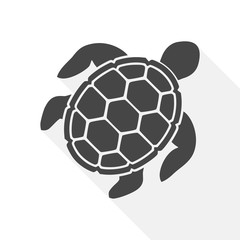 Fototapeta premium Turtle Icon Flat Graphic Design - Illustration