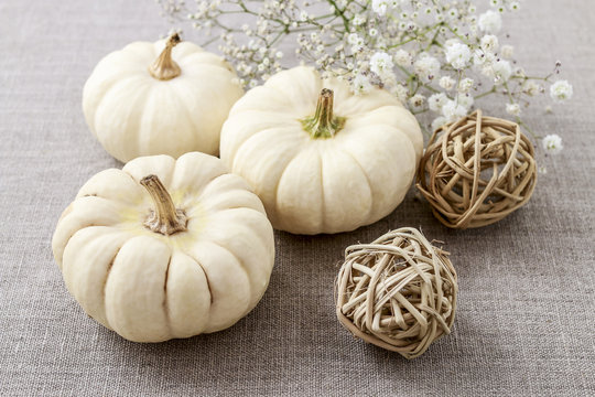 How To Make Floral Decoration With White Pumpkins Called Baby Bo