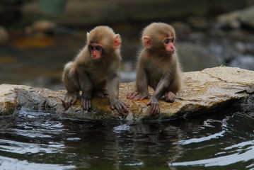 Obraz premium hell valley