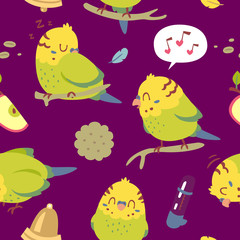 vector cartoon budgie parrot set