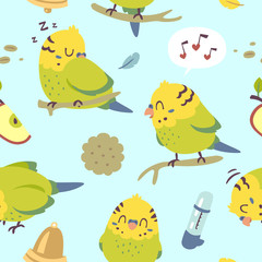 vector cartoon budgie parrot set