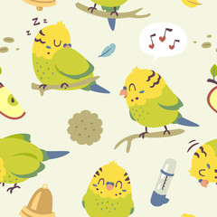 vector cartoon budgie parrot set