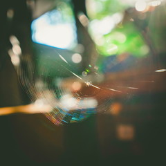 Abstract image in blue of a cobweb in closeup