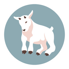 kid goat  vector illustration style Flat