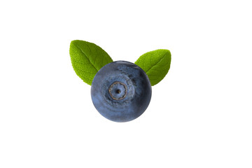 one large blueberry with two leaves isolated on white background