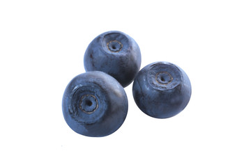 three large blueberries without leaves isolated on white background