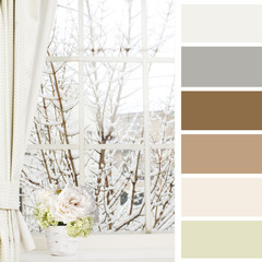 window, color palette