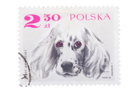 POLAND - CIRCA 1968: A stamp printed in  shows an angels s