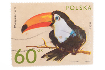 POLAND - CIRCA 1972: A stamp printed in  shows toucan, ser