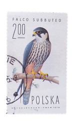 POLAND - CIRCA 1975: a stamp printed in the  shows Hobby F