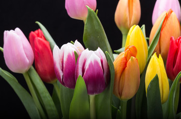 colorful bouquet of fresh spring tulip flowers