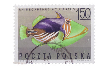 POLAND - CIRCA 1967: a stamp printed in the  shows Striped