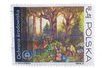 POLAND - CIRCA 1973: A stamp printed in  showing protectio