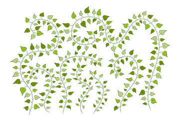 vector floral background with green clambering plants