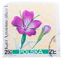 POLAND - CIRCA 1967: A Stamp printed in  shows  series of