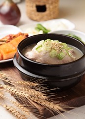 chicken soup. samgyetang