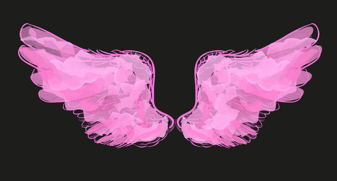 Pink Wings Isolated On Black Background