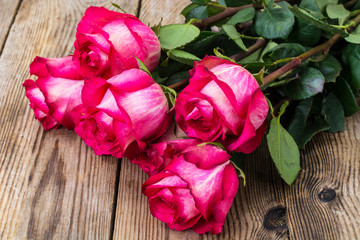 Roses on a wooden background