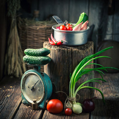 Old wooden pantry with fresh herbs and vegetables