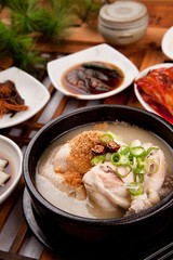 chicken soup. samgyetang