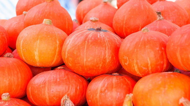 Japanese pumpkin in a local market.