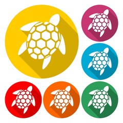 Turtle icon silhouette - Illustration